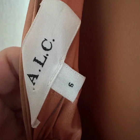 A.L.C. Delfina Matte Pleated Dress $695 Womens size 6 - Picture 5 of 10